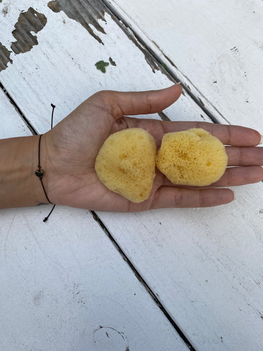 Sea Silk Cosmetic Sponge