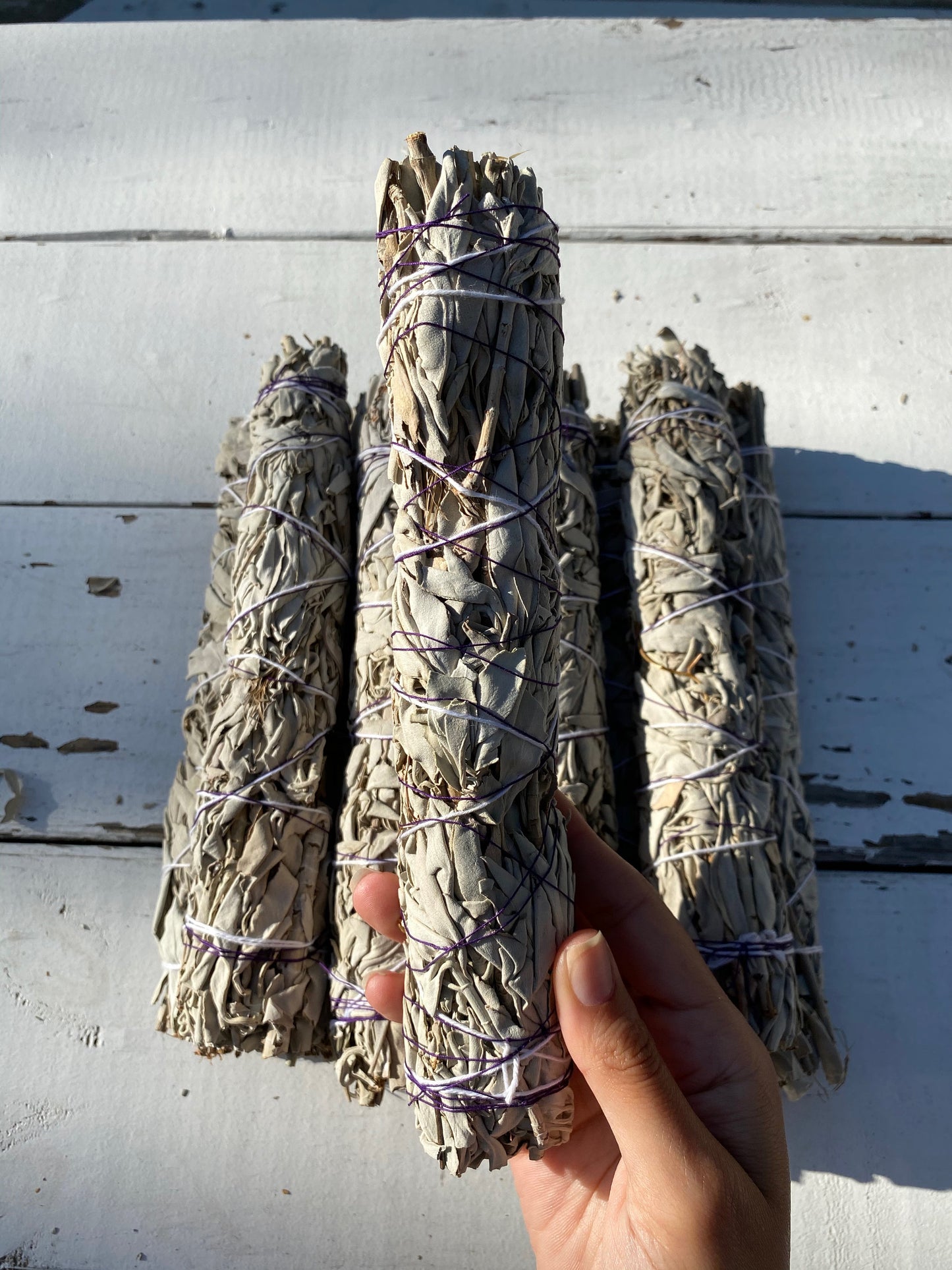 White Sage Bundle | ORGANIC LARGE White Sage