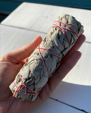 White Sage Mini Smudge Bundle