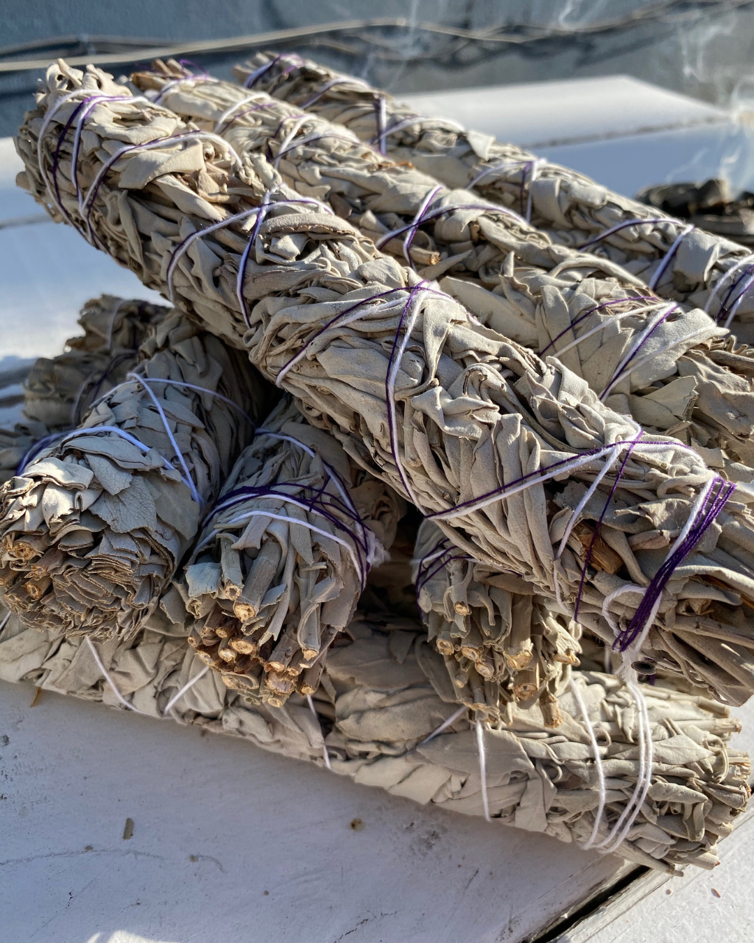 White Sage Bundle | ORGANIC LARGE White Sage