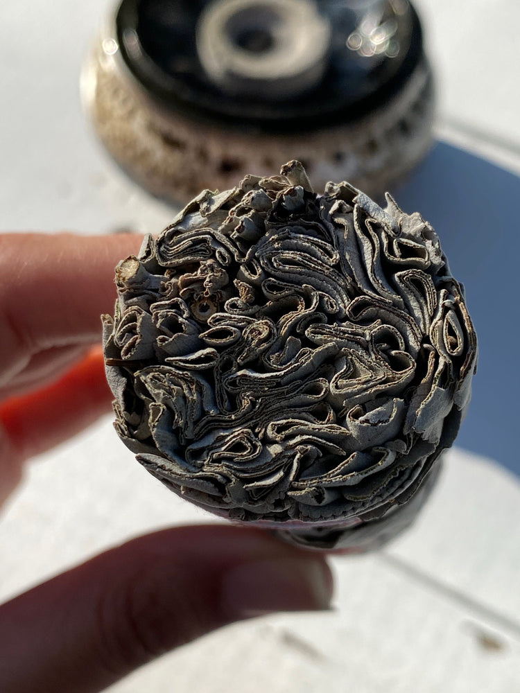 White Sage Mini Smudge Bundle
