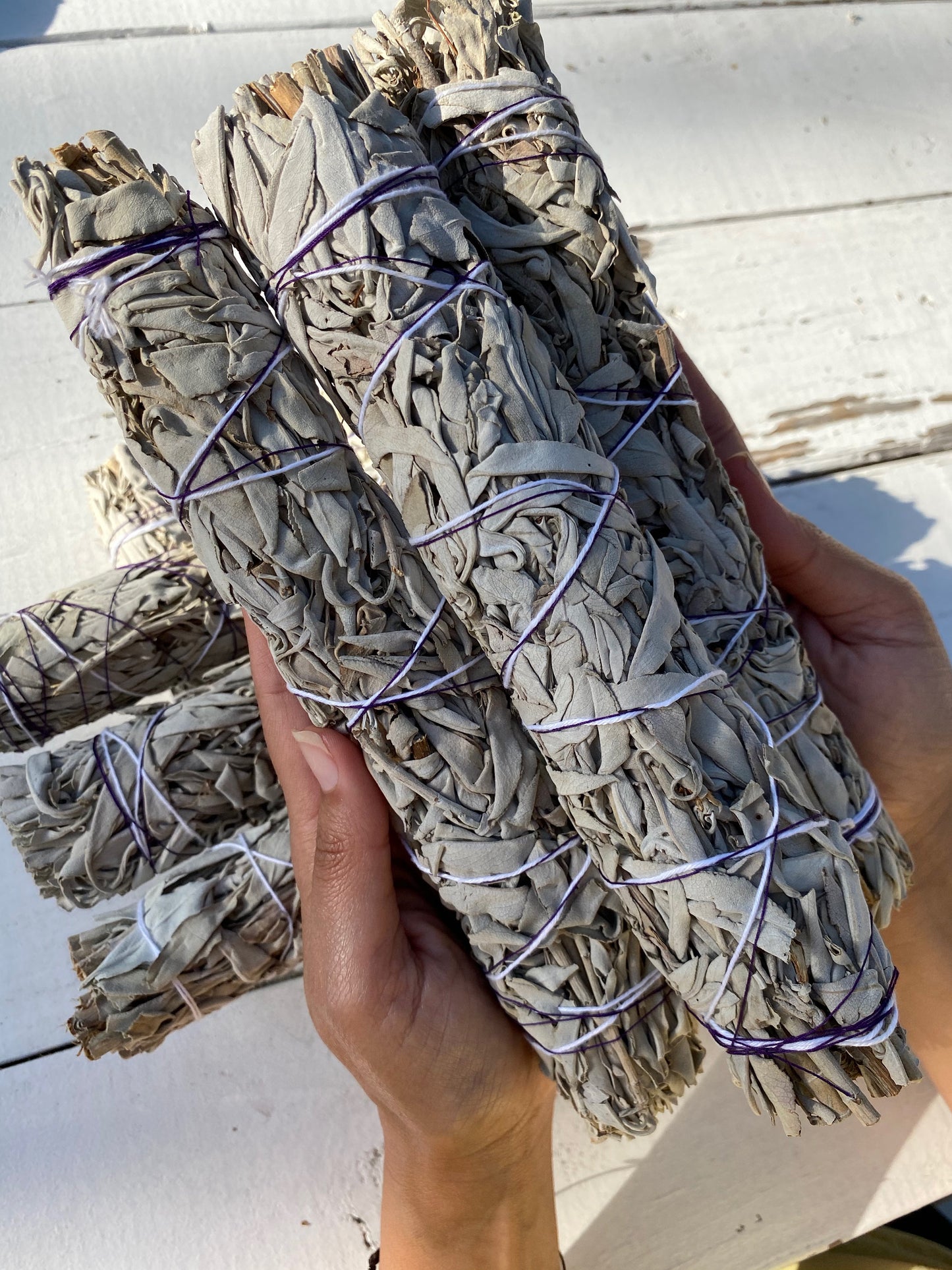 White Sage Bundle | ORGANIC LARGE White Sage