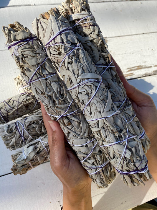 White Sage Bundle | ORGANIC LARGE White Sage