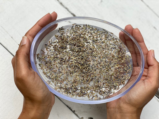 Lavender Water | ORGANIC Healing Flower Water