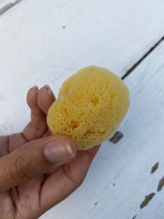 Sea Silk Cosmetic Sponge